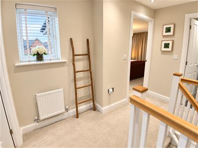 Picture 12